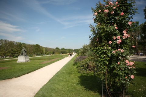 France, ile de france, paris 5e arrondissement, jardin des plantes, roses, statue de buffon.
Date : 2011-2012