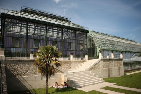 France, ile de france, paris 5e arrondissement, jardin des plantes, serres tropicales.
Date : 2011-2012