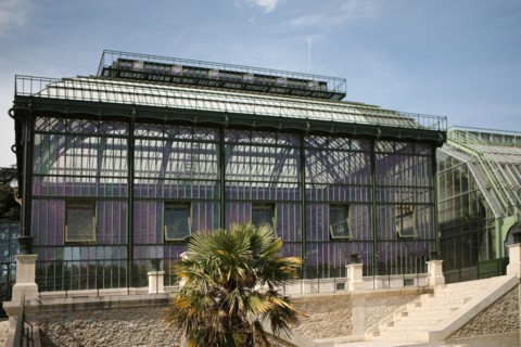 France, ile de france, paris 5e arrondissement, jardin des plantes, serres tropicales.
Date : 2011-2012