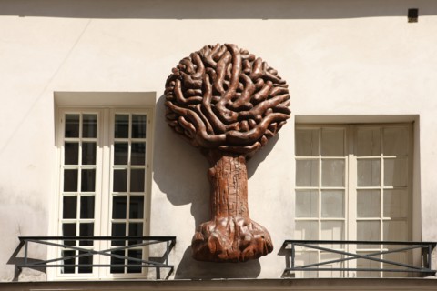 France, ile de france, paris 5e arrondissement, 69 rue mouffetard, detail, facade, mur, arbre.
Date : 2011-2012