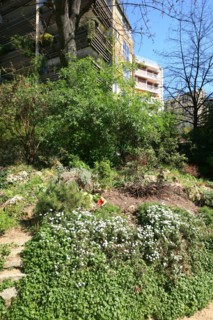France, ile de france, paris 7e arrondissement, jardin roger stephane, au bout de la rue recamier.
Date : 2011-2012