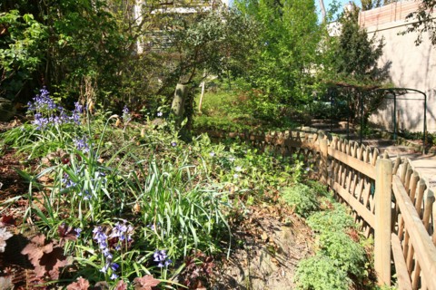 France, ile de france, paris 7e arrondissement, jardin roger stephane, au bout de la rue recamier.
Date : 2011-2012