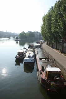 France, ile de france, paris 1e, pont des arts, la Seine passerelle entre louvre et institut de france, vue sur le quai de conti, le pont neuf et la pointe de l'ile de la cite, square du vert galant, ...