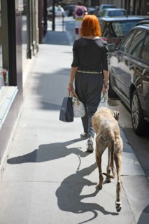 France, ile de france, paris, 7e arrondissement, rue de babylone, femme avec un levrier afghan, ombre sur le trottoir.
Date : 2011-2012