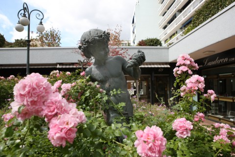 Village suisse, Paris