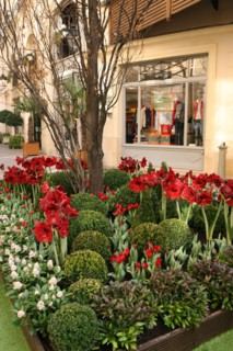 France, ile de france, paris 8e arrondissement, cite berryer, rue royale, boutiques, mode

Date : 2011-2012