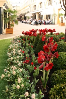 France, ile de france, paris 8e arrondissement, cite berryer, rue royale, boutiques, mode

Date : 2011-2012