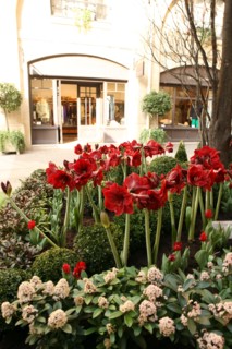 France, ile de france, paris 8e arrondissement, cite berryer, rue royale, boutiques, mode

Date : 2011-2012