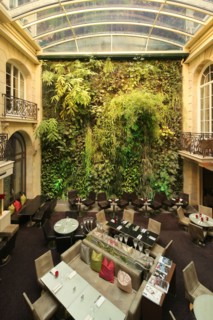 France, ile de france, paris 8e arrondissement, 49 rue pierre charron, pershing hall, restaurant, hotel, club, patio, andree putmann

Date : 2011-2012