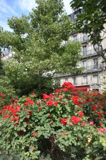 France, ile de france, paris, 10e arrondissement,  rue lafayette, square montholon, espace vert, jardin, rosiers, allee

Date : 2011-2012