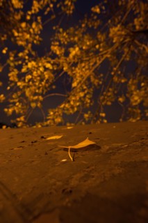 france, ile de france, paris,6e arrondissement, quai de conti, peniches, seine, velo, nuit, matin,