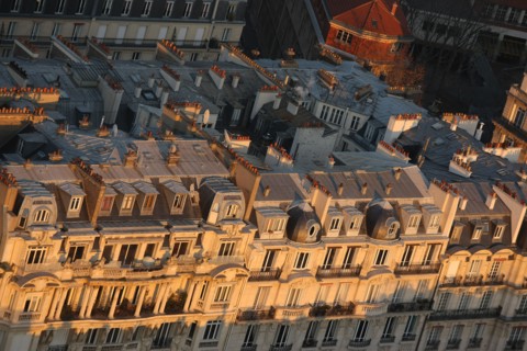 France, ile de france, paris 7e arrondissement, tour eiffel, vue depuis le 2e etage, vers les invalides, toits,