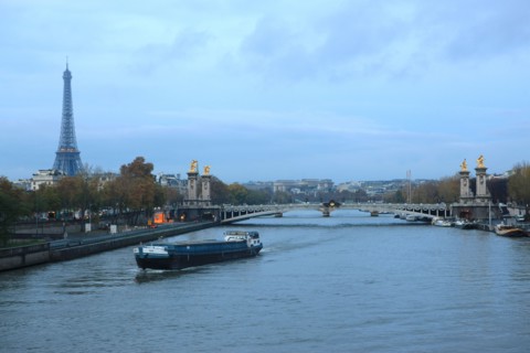 france, region ile de france, paris 7e arrondissement, seine, peniche,  pont alexandre III, tunnel souterrain sous le pont, circulation, matin, fin de nuit, eclairage,  tour eiffel,