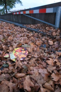 france, region ile de france, paris 7e arrondissement, quai d'orsay, feuilles mortes, automne, voie sur berge, paquet de chips dans les feuilles, pollution, detritus, environnement,