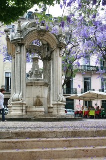 portugal, lisbonne, lisboa, signes de ville, lorgo do carmo,  paves, fleurs tombees des arbres, bairro alto, place, sol, voirie
Date : septembre 2011