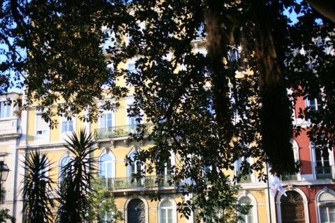 portugal, lisbonne, lisboa, signes de ville, principe real, arbres et circulation
Date : septembre 2011