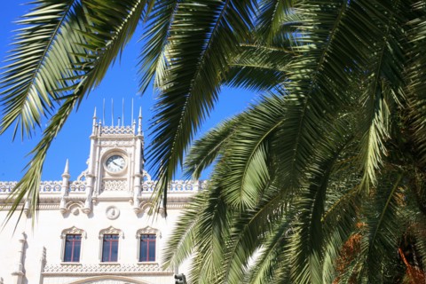 portugal, lisbonne, lisboa, signes de ville, rossio, praca don pedro, facade gare, palmier, voirie
Date : septembre 2011