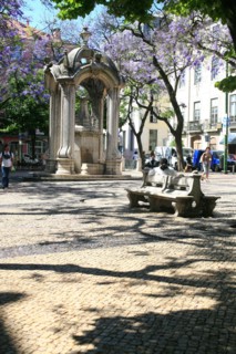 portugal, lisbonne, lisboa, signes de ville, lorgo do carmo,  paves, fleurs tombees des arbres, bairro alto, place, sol, voirie
Date : septembre 2011