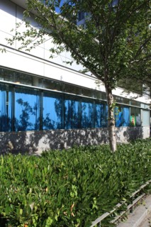 France, ile de france, paris, 13e arrondissement, zac paris rive gauche, rue georges balanchine, groupe scolaire george balanchine, ecole elementaire et ecole maternelle, education,


Date : 2011-2012
