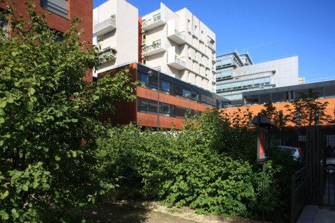 France, ile de france, paris, 13e arrondissement, zac paris rive gauche, rue rene goscini, groupe scolaire primo levi, ecole elementaire et ecole maternelle, education,


Date : 2011-2012