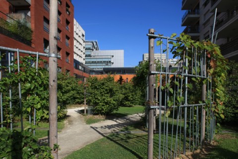 France, ile de france, paris, 13e arrondissement, zac paris rive gauche, rue rene goscini, groupe scolaire primo levi, ecole elementaire et ecole maternelle, education, depuis le jardin abbe pierre,

...