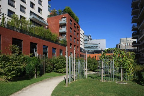 France, ile de france, paris, 13e arrondissement, zac paris rive gauche, rue rene goscini, groupe scolaire primo levi, ecole elementaire et ecole maternelle, education, depuis le jardin abbe pierre,

...