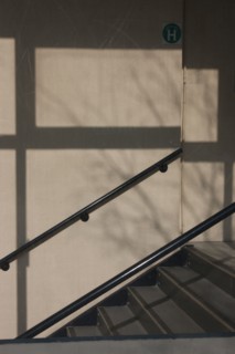 france, region ile de france, paris 13e arrondissement, boulevard de l'hopital, immeuble,  escalier, ombres,


Date : 2011-2012