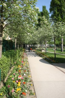 France, ile de france, paris 20e arrondissement, rue michel de bourges, square casque d'or, jardin public, fleurs, simone signoret, jacques becker, film,


Date : 2011-2012