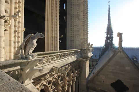 France, ile de france, paris 4e arrondissement, ile de la cite, parvis, notre dame de paris, cathedrale, montee aux tours, panorama,