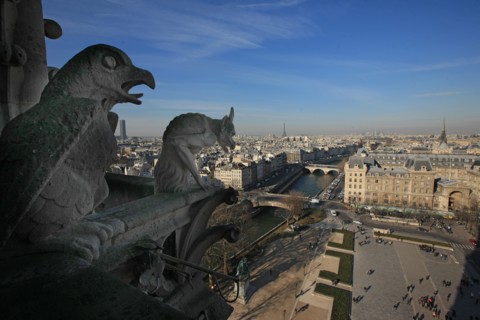 France, ile de france, paris 4e arrondissement, ile de la cite, parvis, notre dame de paris, cathedrale, montee aux tours, panorama, chimeres,