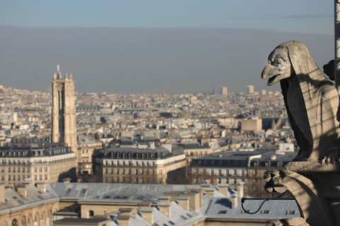 France, ile de france, paris 4e arrondissement, ile de la cite, parvis, notre dame de paris, cathedrale, montee aux tours, panorama,