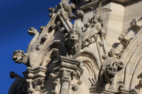 France, ile de france, paris 4e arrondissement, ile de la cite, parvis, notre dame de paris, cathedrale, montee aux tours, panorama, bestiaire,