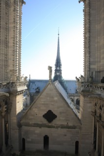 France, ile de france, paris 4e arrondissement, ile de la cite, parvis, notre dame de paris, cathedrale, montee aux tours, panorama,