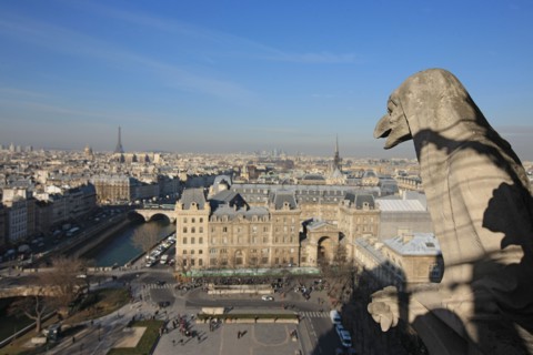 France, ile de france, paris 4e arrondissement, ile de la cite, parvis, notre dame de paris, cathedrale, montee aux tours, panorama,