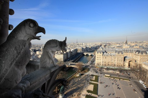 France, ile de france, paris 4e arrondissement, ile de la cite, parvis, notre dame de paris, cathedrale, montee aux tours, panorama,