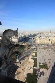 France, ile de france, paris 4e arrondissement, ile de la cite, parvis, notre dame de paris, cathedrale, montee aux tours, panorama, chimere,