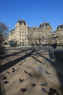 France, ile de france, paris 4e arrondissement, ile de la cite, parvis, notre dame de paris, cathedrale, montee aux tours, panorama, pigeons,
