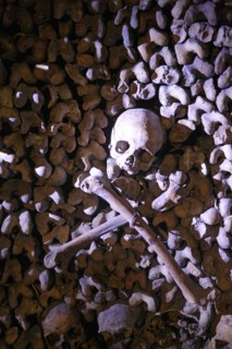 France, ile de france, paris 14e arrondissement, place denfert rochereau, catacombes, ossements, cranes, galerie, souterrain,