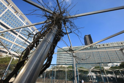 France, ile de france, paris 15e arrondissement, montparnasse, jardin atlantique, au dessus des voies de la gare montparnasse, arbre entrelace dans un poteau,