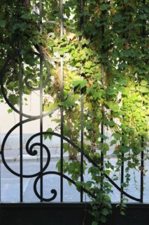 france, region ile de france, paris 15e arrondissement, passage de dantzig, la ruche, ateliers, artistes,