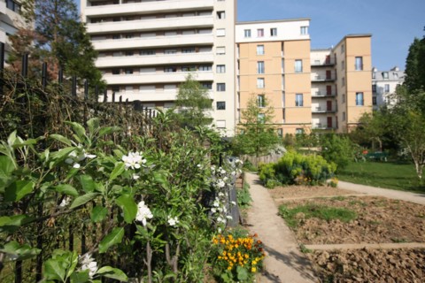 France, ile de france, paris 20e arrondissement, rue michel de bourges, square casque d'or, jardin public, fleurs, simone signoret, jacques becker, film,