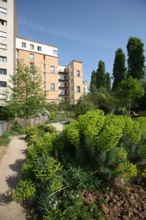France, ile de france, paris 20e arrondissement, rue michel de bourges, square casque d'or, jardin public, fleurs, simone signoret, jacques becker, film,