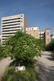 France, ile de france, paris 20e arrondissement, rue michel de bourges, square casque d'or, jardin public, fleurs, simone signoret, jacques becker, film,
