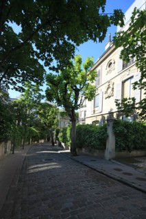 France, ile de france, paris 9e arrondissement, avenue frochot, voie privee entre la rue victor masse et la place pigalle, n4


Date : Ete 2012