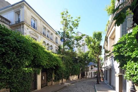 France, ile de france, paris 9e arrondissement, avenue frochot, voie privee entre la rue victor masse et la place pigalle, n3,


Date : Ete 2012