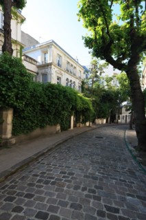 France, ile de france, paris 9e arrondissement, avenue frochot, voie privee entre la rue victor masse et la place pigalle,


Date : Ete 2012