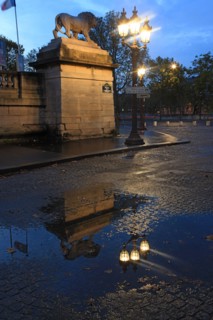 france, region ile de france, paris 8e arrondissement, place de la concorde, paves, fontaines, hotel de la marine, hotel de crillon, nuit, eclairage, reflet, lion, flaque d'eau,