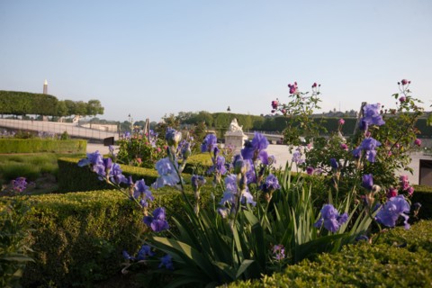 France, Region Ile de France, Paris, 1er arrondissement, jardin des Tuileries, bassin,