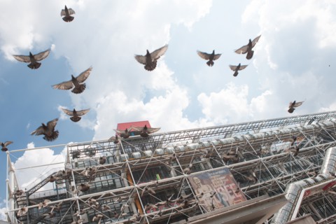 France, Region Ile de France, Paris 4e arrondissement, Beaubourg, Centre Georges Pompidou, piazza, place, touristes, pigeons,