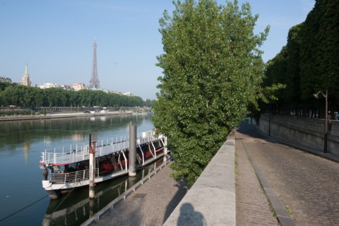 France, Region Ile de France, Paris 7e arrondissement, quai des Tuileries, la Seine et la Tour Eiffel, port des Champs-Elysees,